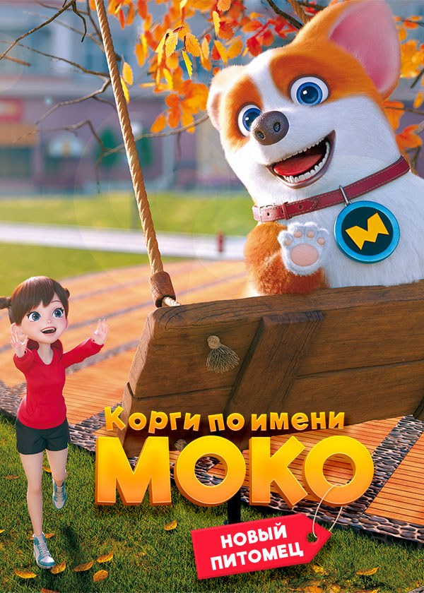 Корги по имени Моко. Новый питомец