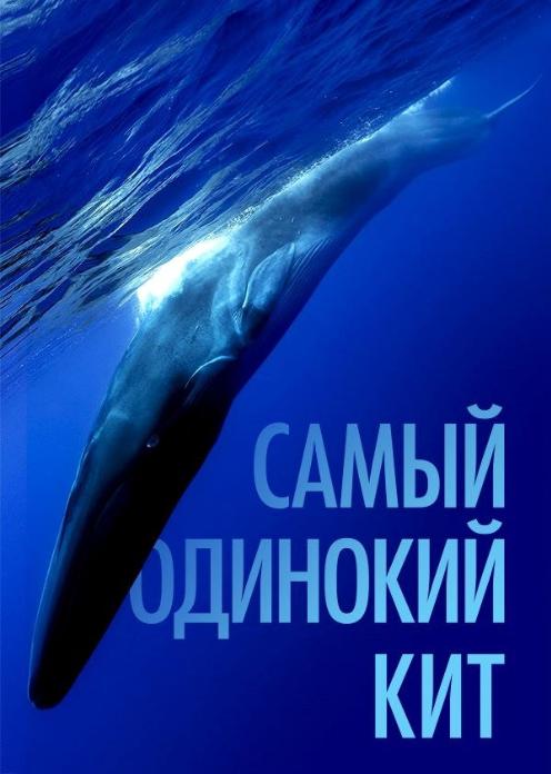 Фильм Самый одинокий кит photo
