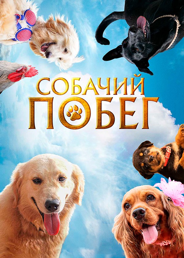 Собачий побег