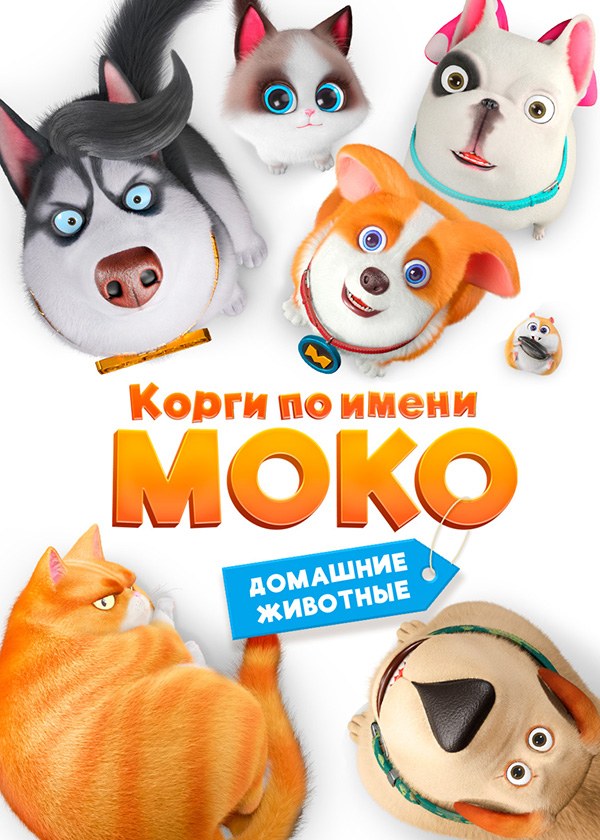 Корги по имени Моко. Домашние животные