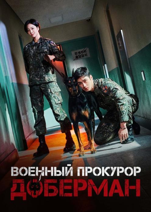 Сериал Военный прокурор Доберман photo